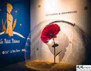 小王子精辟的经典语录带图片 最经典的语录说说大全12