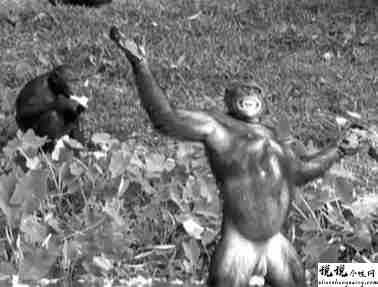 最近很火的18000年前猿人的搞笑文案带图片 让人意想不到的沙雕句子3