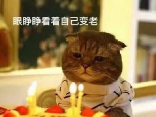 生日发朋友圈怎样写好 生日求祝福语的朋友圈说说