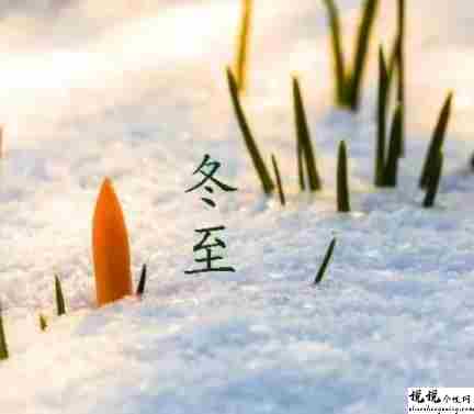 秋去冬来的唯美句子 秋去冬至的高质量文案1