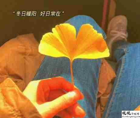 2021倒计时的心情说说 2021马上就要结束的短句1