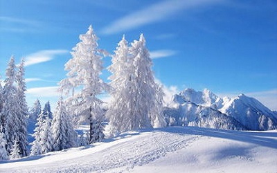 下雪后的心情图片说说 朋友圈发下雪后的美景图片2