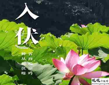 2021入伏超级燥热的说说带图片 入伏天气闷热让人难受的句子14