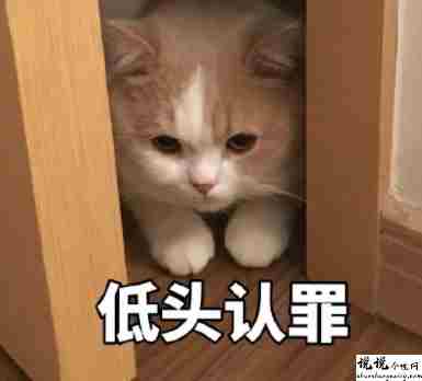 最近很火的内卷段子文案带图片 关于内卷的搞笑语录11