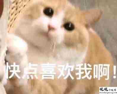 最近很火的内卷段子文案带图片 关于内卷的搞笑语录6