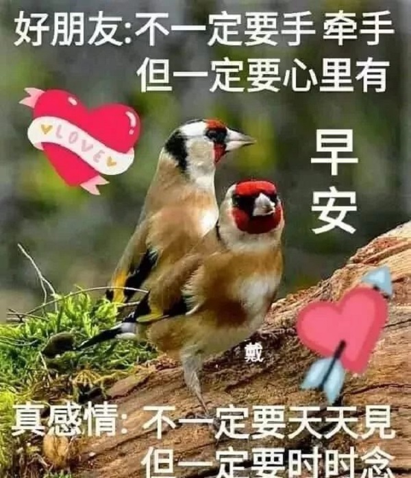 唯美早安图片说说 2019再见!致自己，愿2020，平平安安