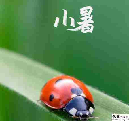 2021小暑节气发朋友圈的经典说说 小暑节气微信好听的祝福语2
