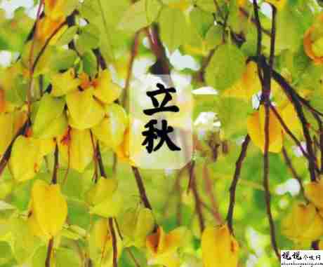 关于立秋的简短唯美句子 2021二十四节气立秋节气经典句子1
