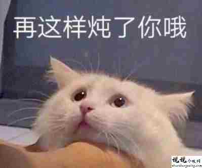 最近很火的内卷段子文案带图片 关于内卷的搞笑语录14