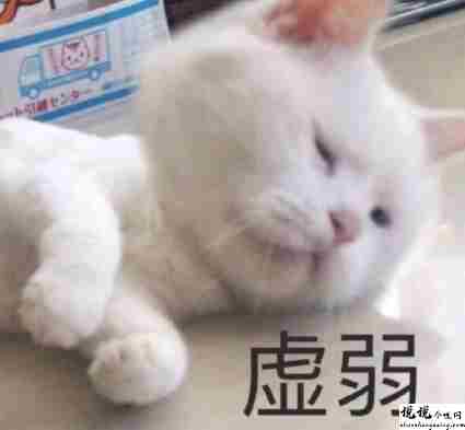 能够让你瞬间提升的搞笑文案 超级幽默的最新朋友圈说说2