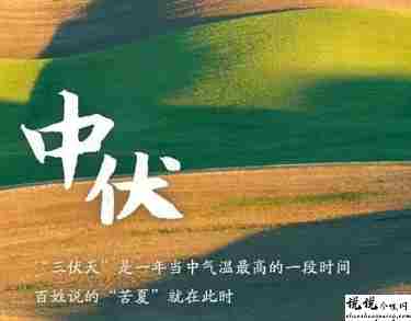 2021入伏超级燥热的说说带图片 入伏天气闷热让人难受的句子11
