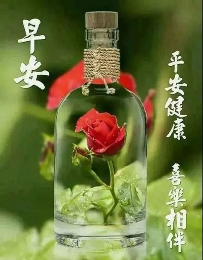 微信个性的早晨问候语 祝福图片带字的图 早安正能量句子3