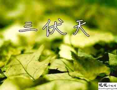 2021入伏超级燥热的说说带图片 入伏天气闷热让人难受的句子3