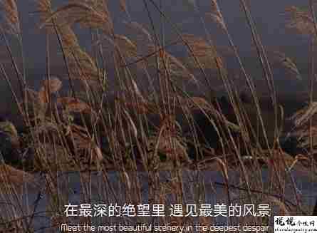 关于焦虑发朋友圈的文案 焦虑的心情说说大全2