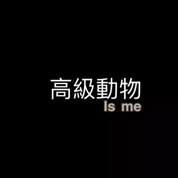 简短个性的图片方案发朋友圈 最初不相信,最终不相认1