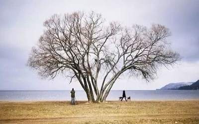 人到中年的经典人生感悟 精辟犀利的句子