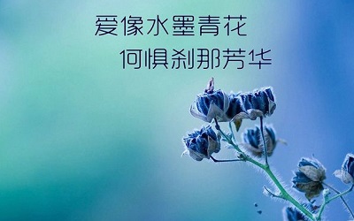 人生中伤感的一些说说 爱伤人情伤魂;来世不再踏红尘1