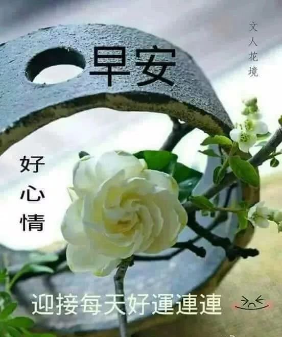 冬季大家早上好祝福漂亮图片带字 清晨早上好问候带图说说6