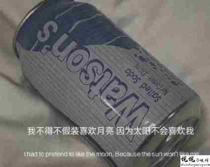 表达自己不想清醒的文案 不想面对生活的句子2