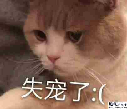 最近很火的内卷段子文案带图片 关于内卷的搞笑语录15
