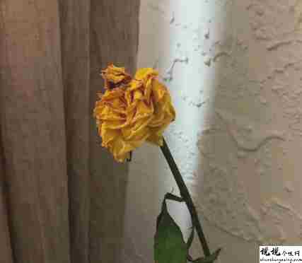 关于我的很有深度的文案带图片 写给自己的精辟短句7