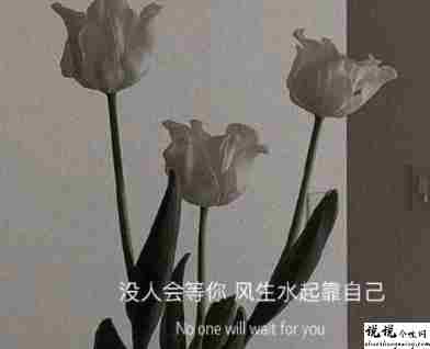 让你内心强大的励志文案 自己变强大的励志句子15