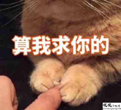 最近很火的内卷段子文案带图片 关于内卷的搞笑语录10