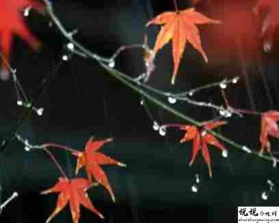 秋雨绵绵的的精美文案发朋友圈 很唯美的关于秋雨的说说2