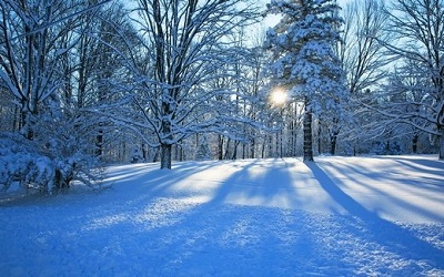 关于下雪了的朋友圈搞笑说说