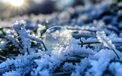 下雪后的心情图片说说 朋友圈发下雪后的美景图片5