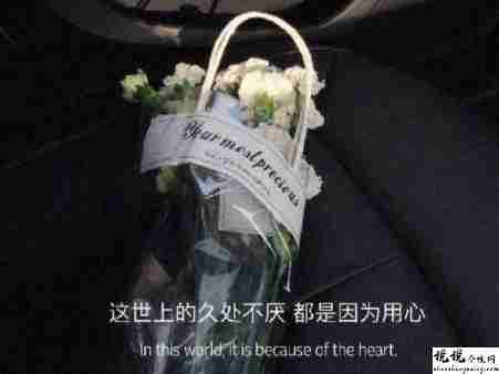 林黛玉经典语录怼人最新 林黛玉精辟语录大全1