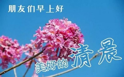 冬季大家早上好祝福漂亮图片带字 清晨早上好问候带图说说8