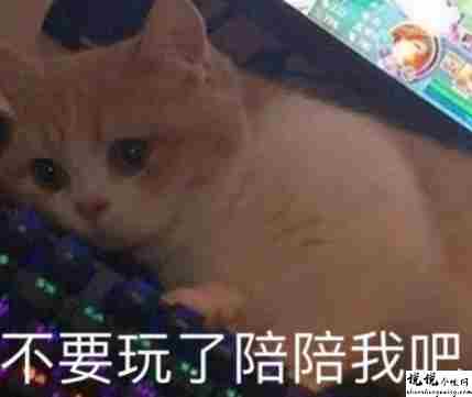 最近很火的内卷段子文案带图片 关于内卷的搞笑语录7