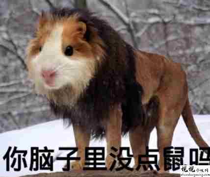最近很火的内卷段子文案带图片 关于内卷的搞笑语录3