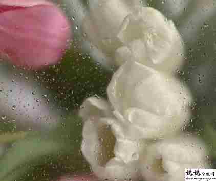 被人忽略的伤感说说 被人忽略心情不好的语录2