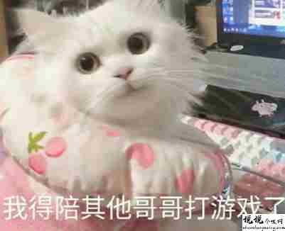 关于英雄联盟手游的朋友圈沙雕文案带图片 很搞笑的英雄联盟手游句子5