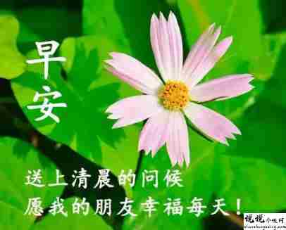老年人好听的早安问候语 很好听的老人群发的早安文案2