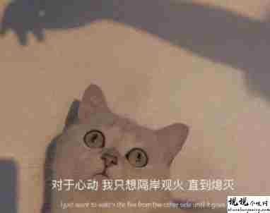 分手后挽回前任的煽情句子 让对方很感动的符合文案1