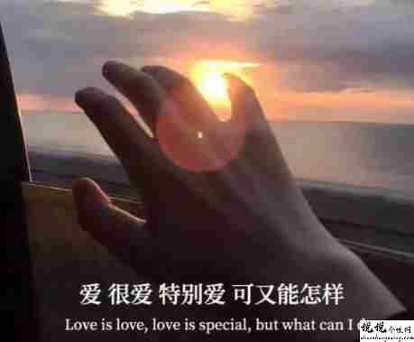 最美丧句带图片 凭什么后来者居上6
