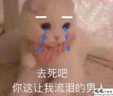 关于英雄联盟手游的朋友圈沙雕文案带图片 很搞笑的英雄联盟手游句子1