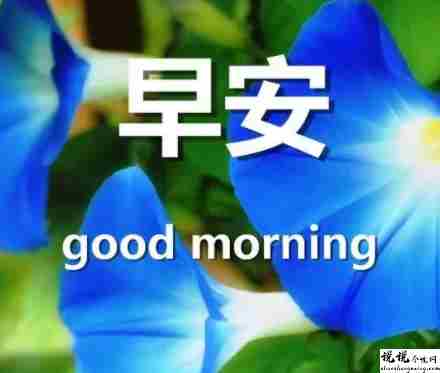 必评论必点赞的经典早安说说 很舒心的精致的早安心语1