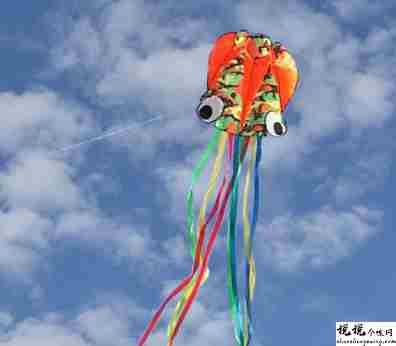 周末出门郊游放风筝的文案 关于放风筝的优美说说2
