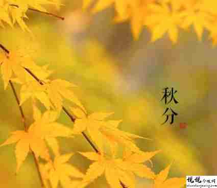 秋分节日早安朋友圈祝福语 2021秋风节气的唯美好听语录2