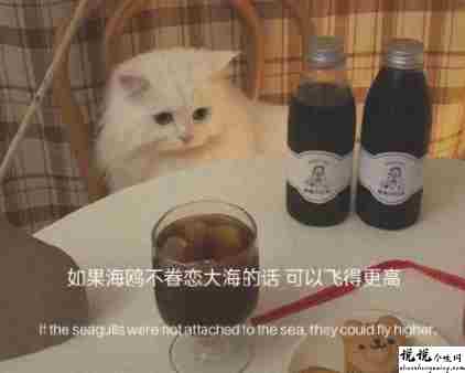 表达自己不想清醒的文案 不想面对生活的句子1