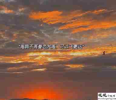 很温暖的又很舒心的短句 清新暖心的优美文案1