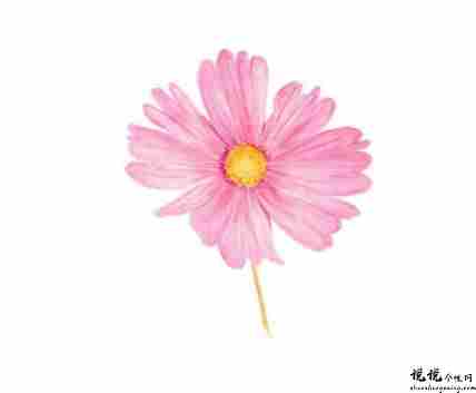 关于花语的唯美句子 花的浪漫句子发朋友圈2