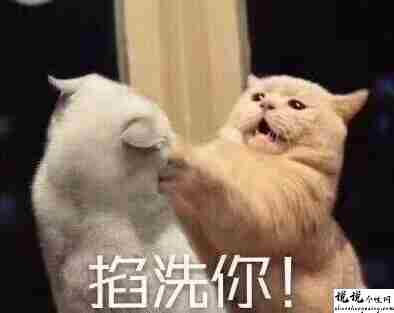 最近很火的内卷段子文案带图片 关于内卷的搞笑语录12