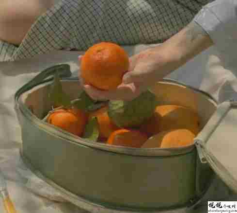 秋季摘橘子的朋友圈文案 秋季去橘子园摘橘子的唯美说说2