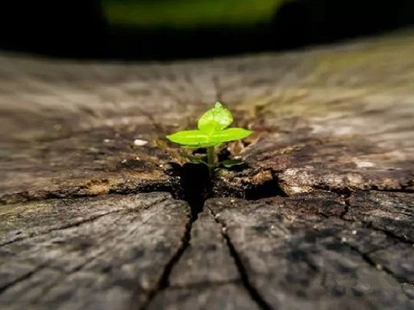 适合签名个性安静心情说说 只想一个人安静的个性说说2