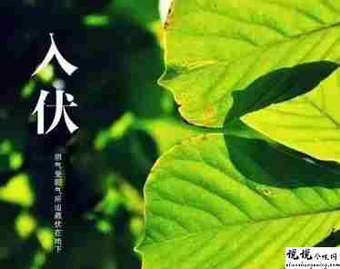 2021入伏超级燥热的说说带图片 入伏天气闷热让人难受的句子9